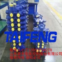 山东泰丰厂家供应可加工定制多路阀TRM20