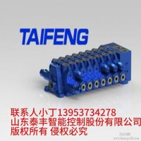 TRM15-BH-08-CT-02挖机多路阀泰丰厂家现货供应